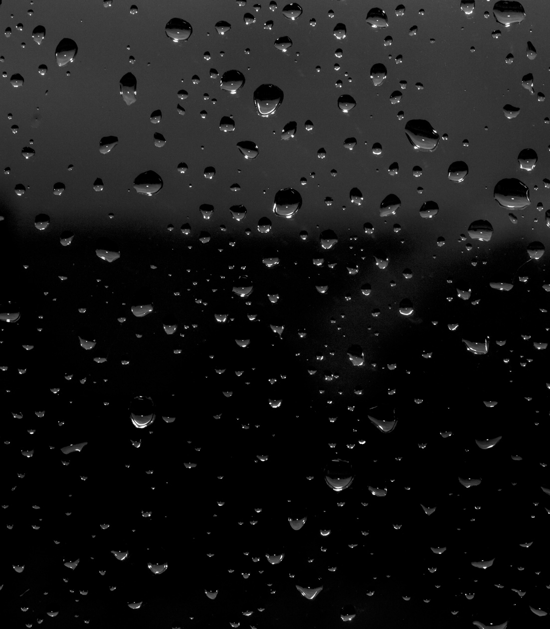 Water beading on freshly coated black paint, showing hydrophobic ceramic protection